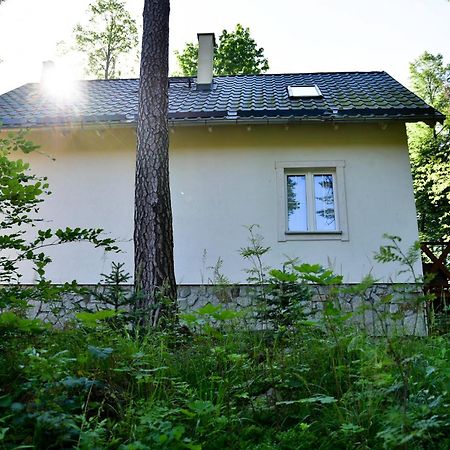 Gorski Domek Kolo Karpacza- Apartamentuj 外观 照片