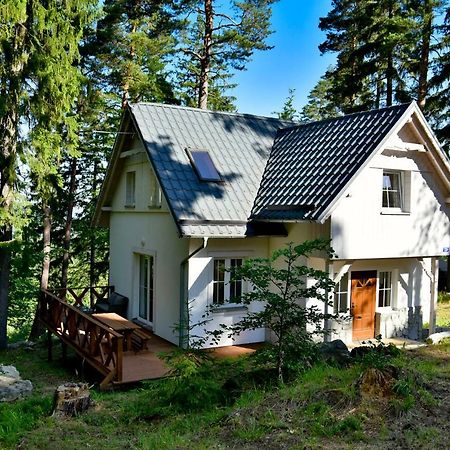 Gorski Domek Kolo Karpacza- Apartamentuj 外观 照片
