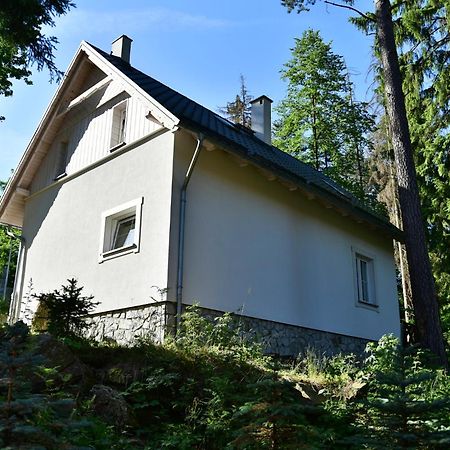 Gorski Domek Kolo Karpacza- Apartamentuj 外观 照片