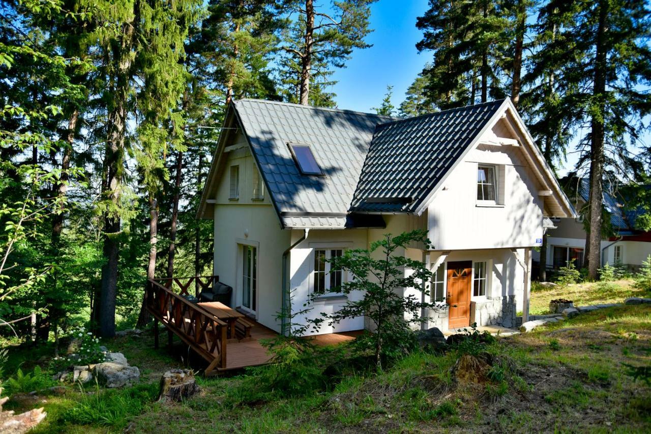 Gorski Domek Kolo Karpacza- Apartamentuj 外观 照片