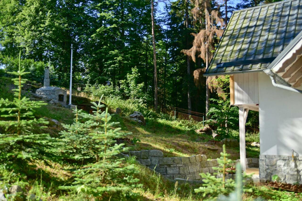Gorski Domek Kolo Karpacza- Apartamentuj 外观 照片