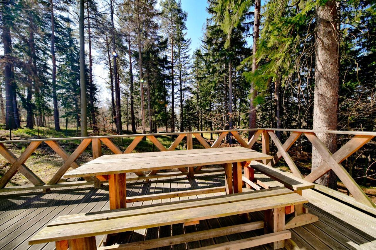 Gorski Domek Kolo Karpacza- Apartamentuj 外观 照片