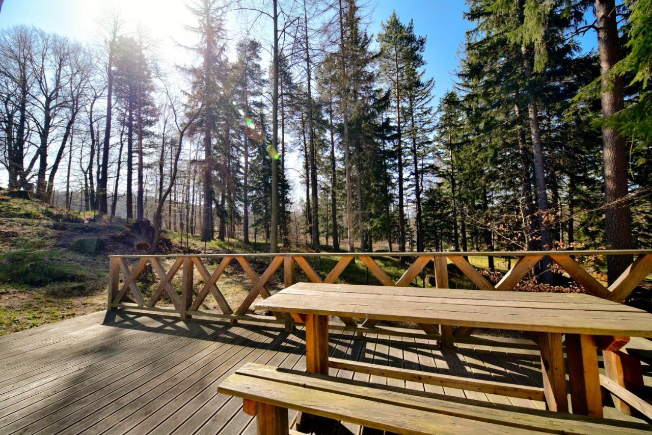 Gorski Domek Kolo Karpacza- Apartamentuj 外观 照片